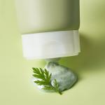 Graymelin Mugwort Pure Foam Cleanser (150 ml)