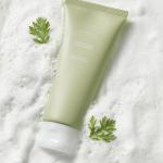 Graymelin Mugwort Pure Foam Cleanser (150 ml)